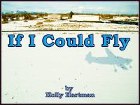 If_I_Could_Fly